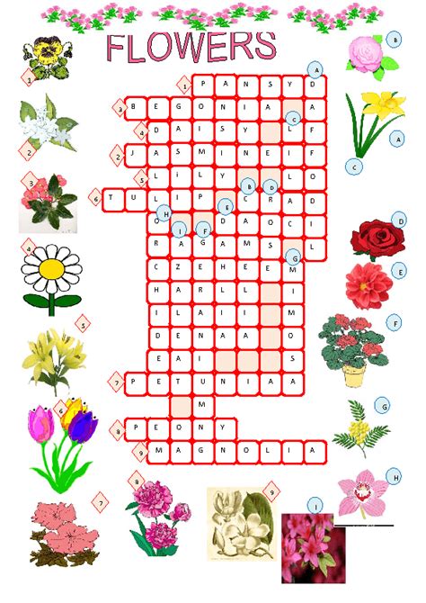 future flowers crossword|future flower.